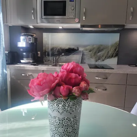 Apartment Südterrasse Mit Kamin Bj 2019 *