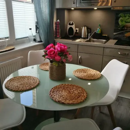 Suedterrasse Mit Kamin Bj 2019 Apartment